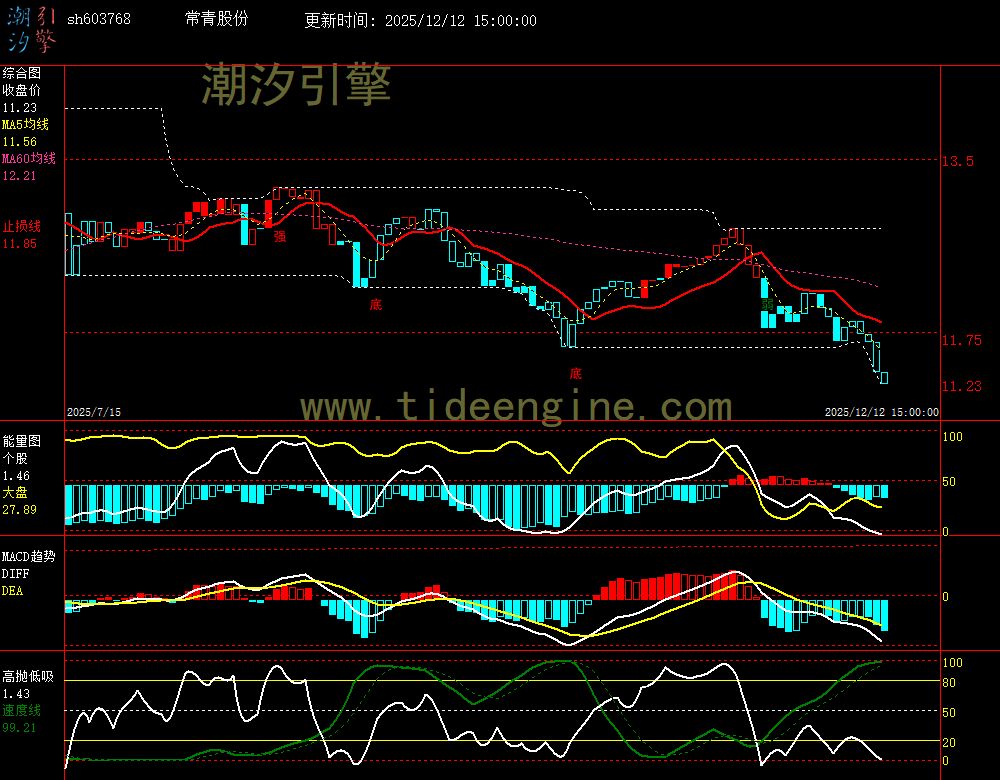 SH603768_240M.jpg SH603768_240M.jpg