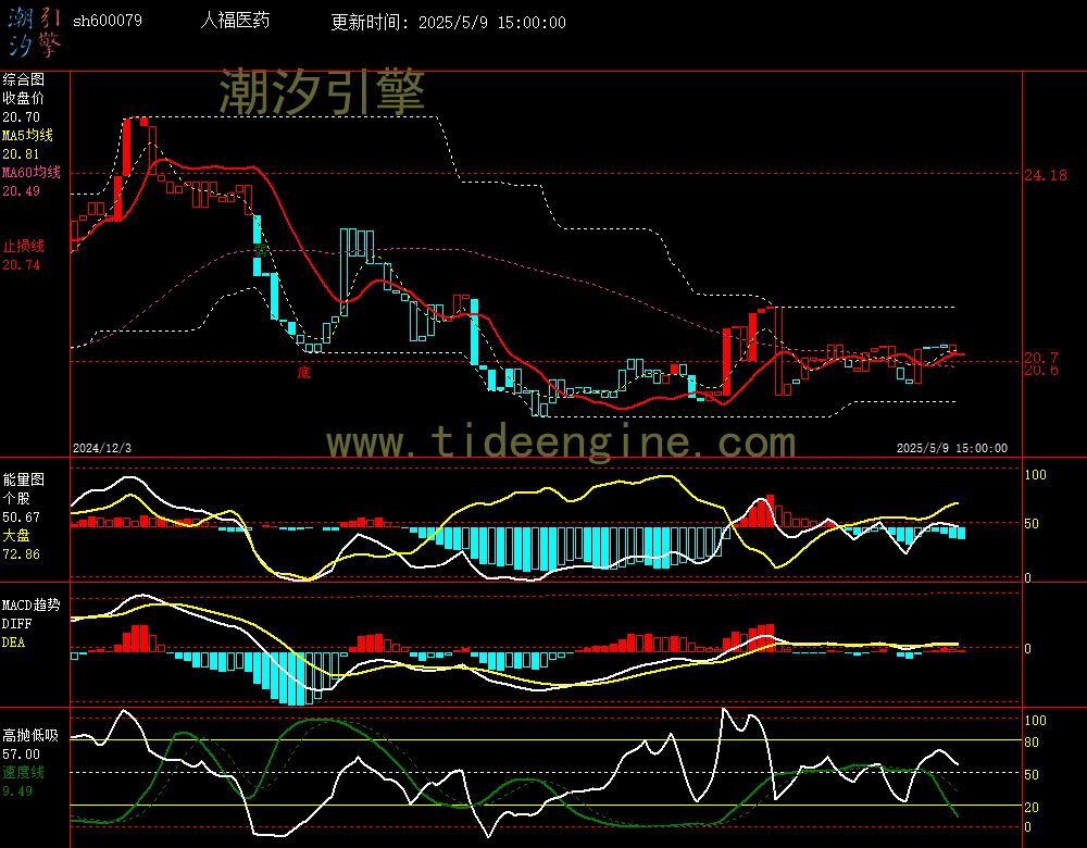 sh600079_240M.jpg