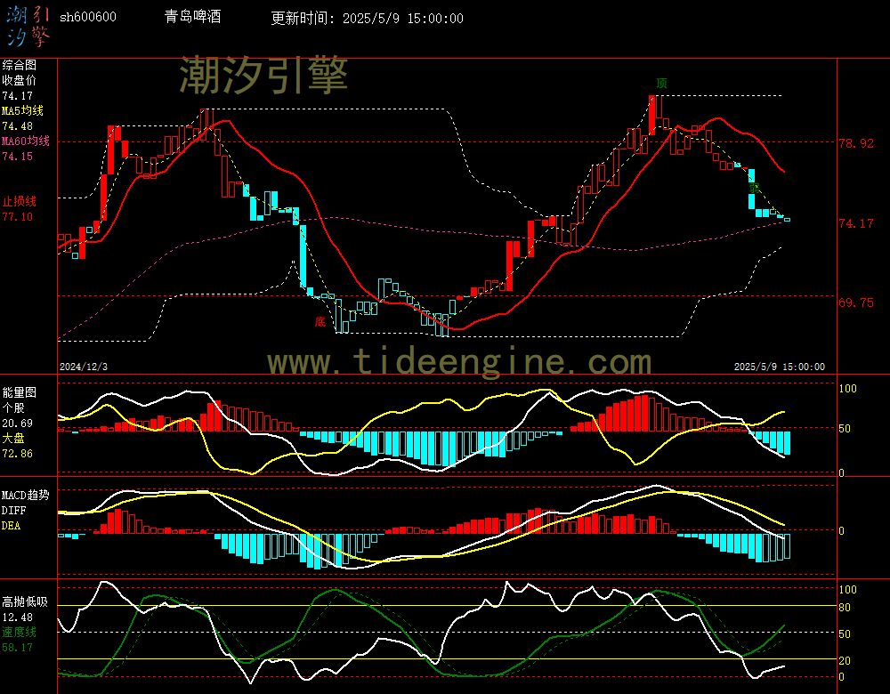 sh600600_240M.jpg