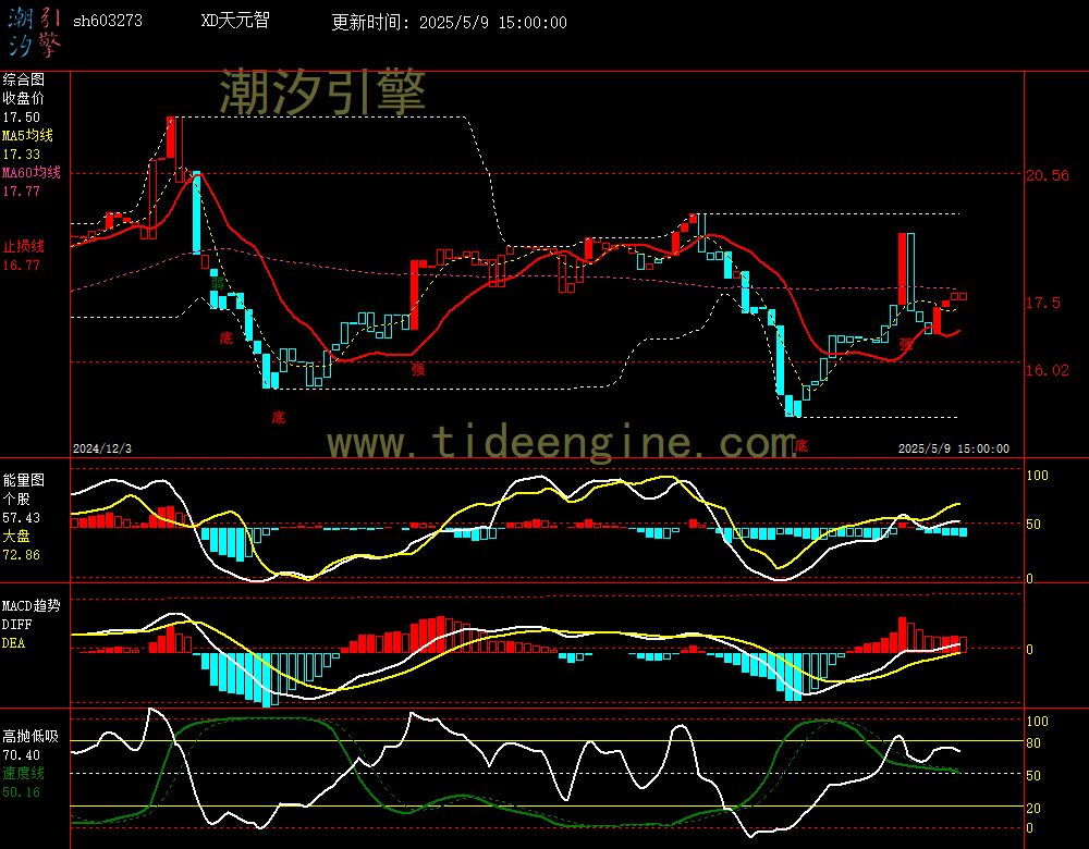 sh603273_240M.jpg