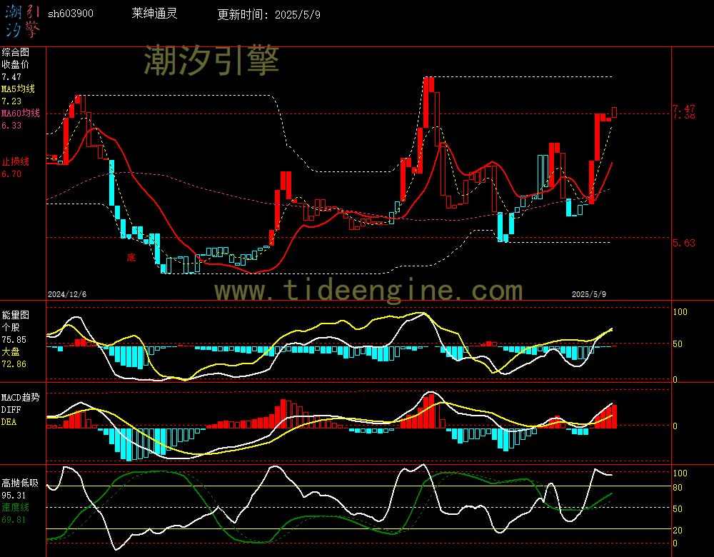 sh603900_240M.jpg