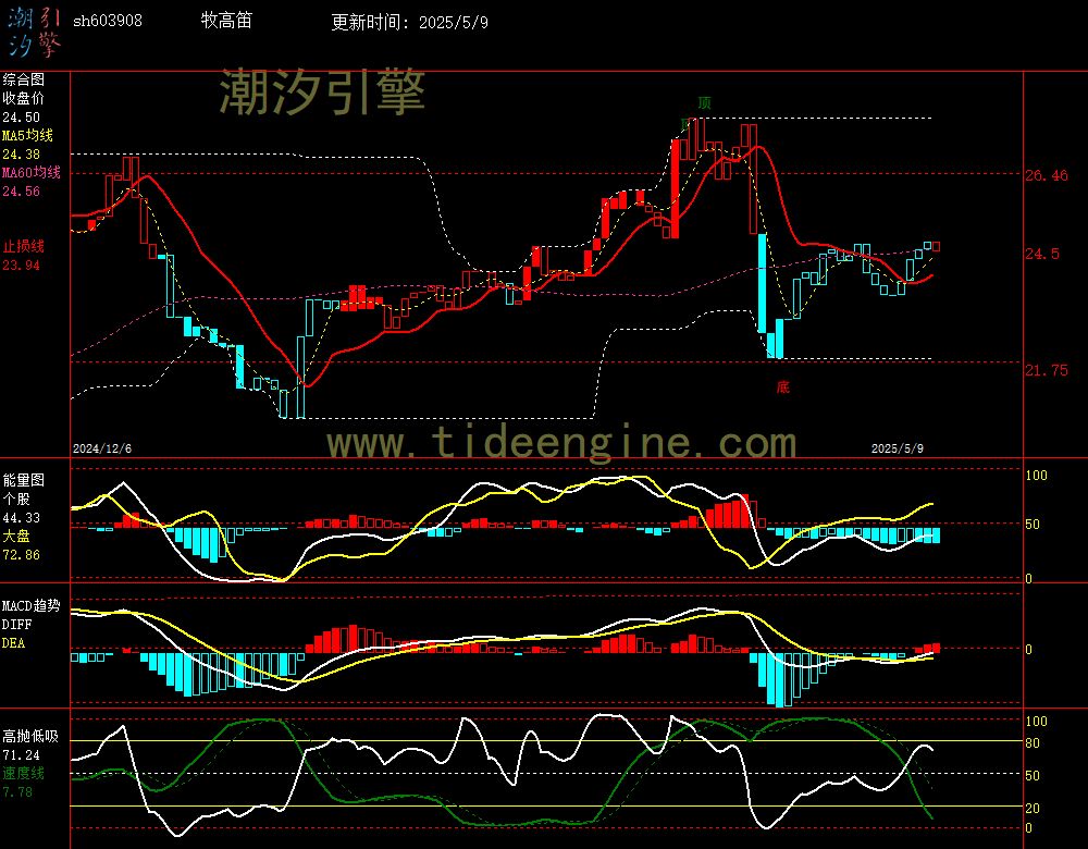 sh603908_240M.jpg