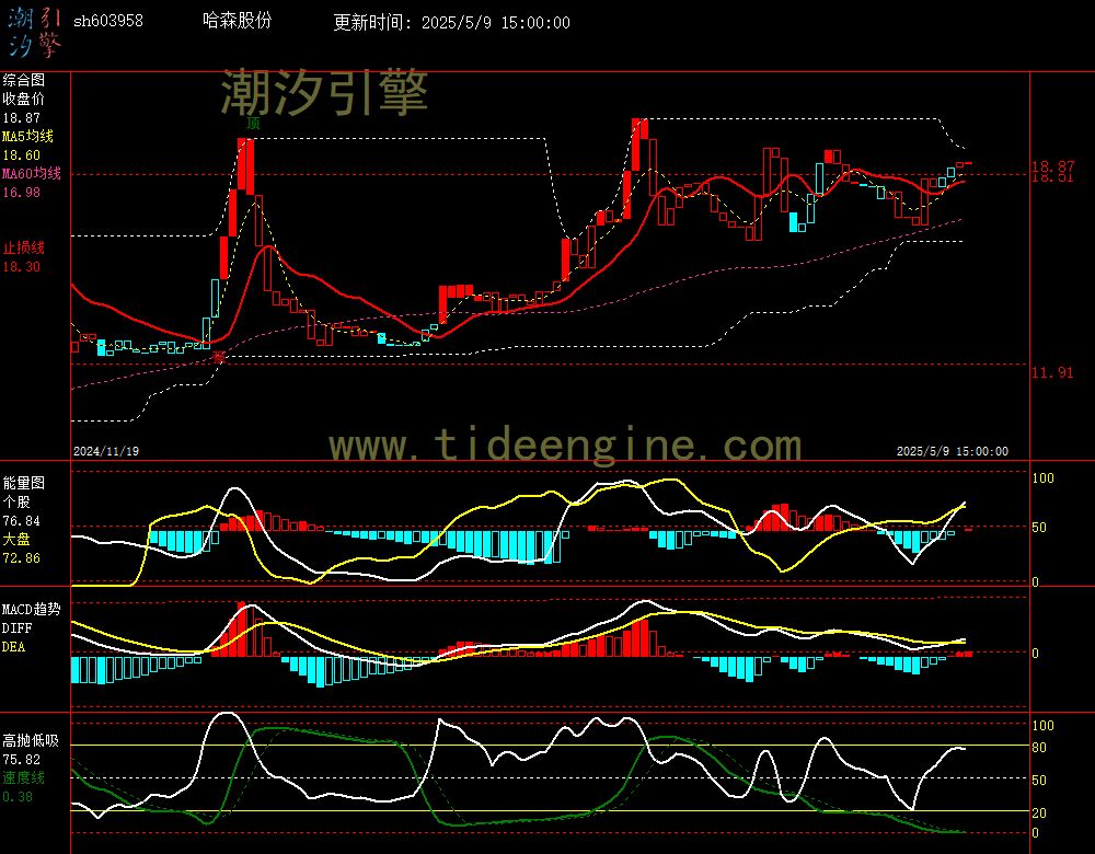 sh603958_240M.jpg