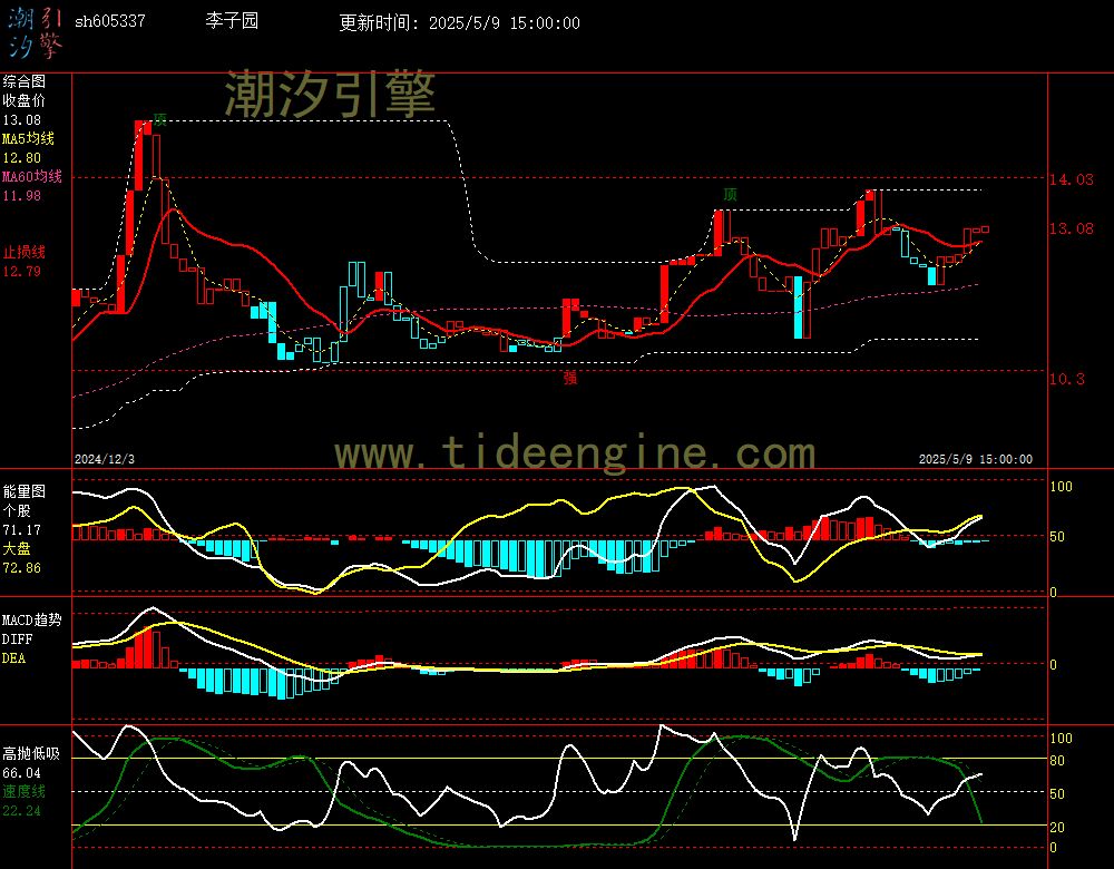 sh605337_240M.jpg
