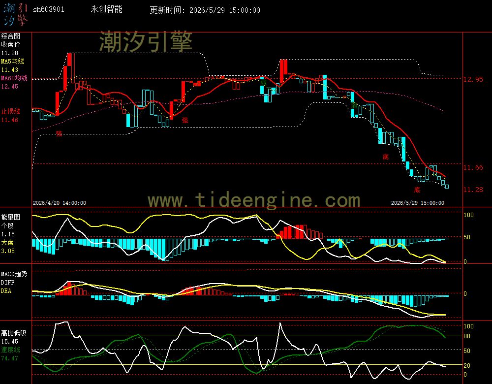 SH603901_60M.jpg