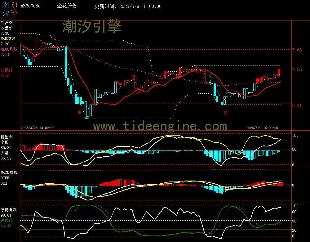 sh600080_60M.jpg