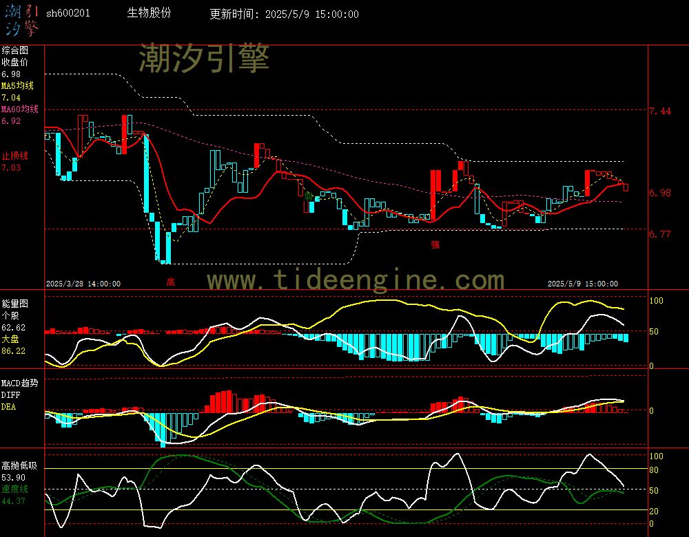 sh600201_60M.jpg