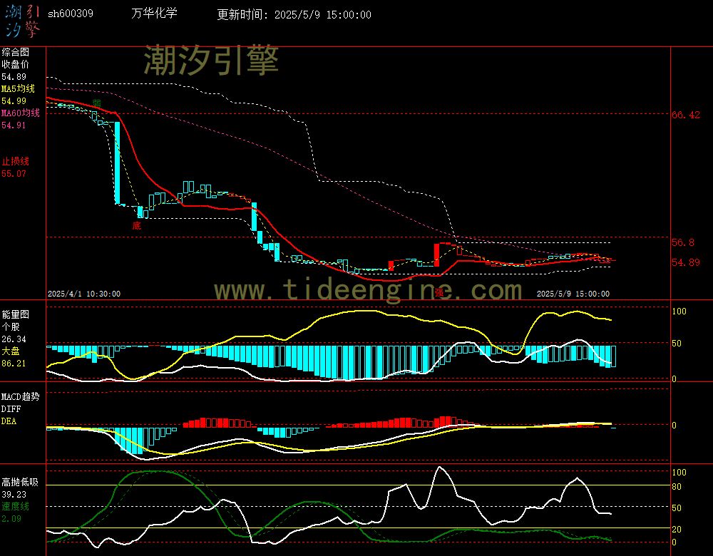 sh600309_60M.jpg