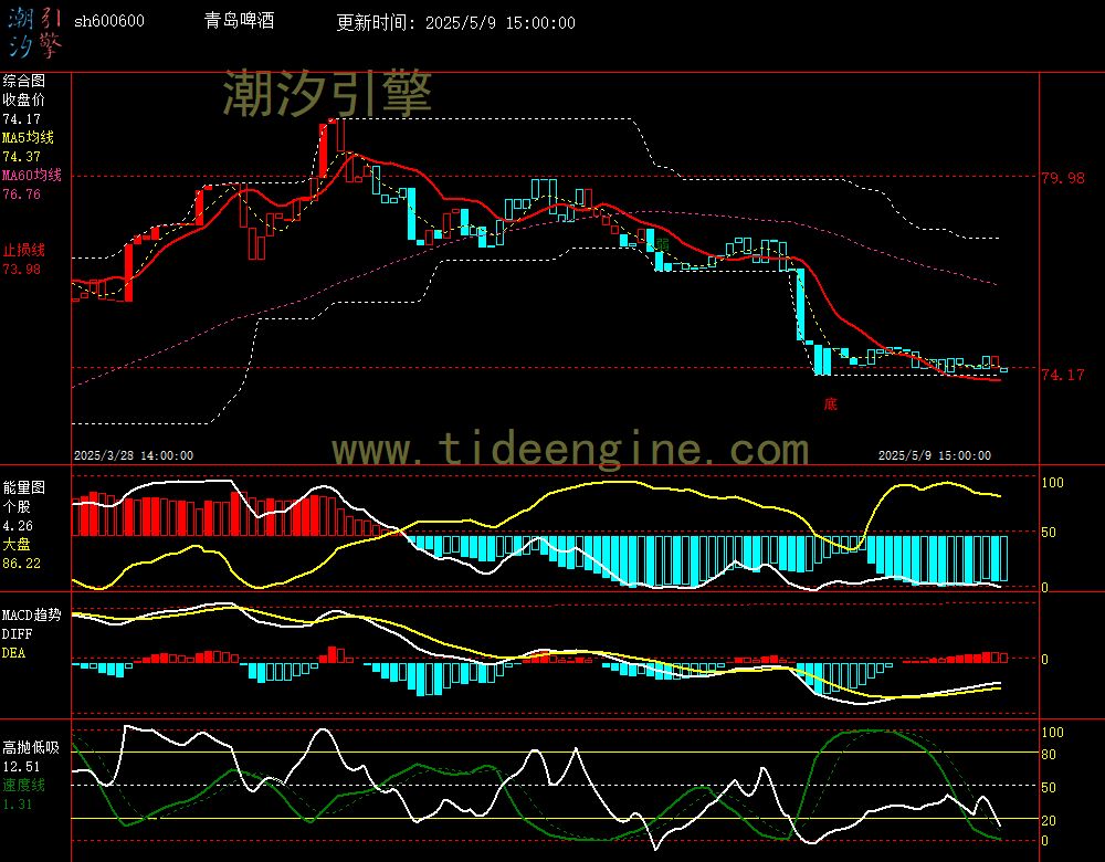 sh600600_60M.jpg