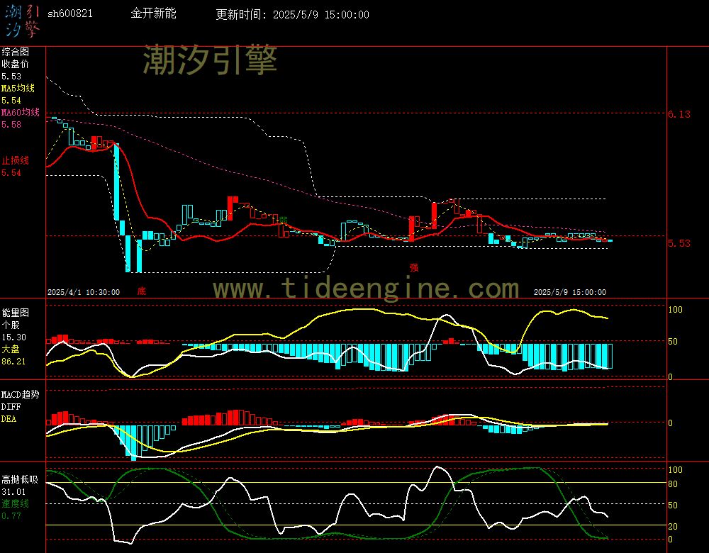 sh600821_60M.jpg