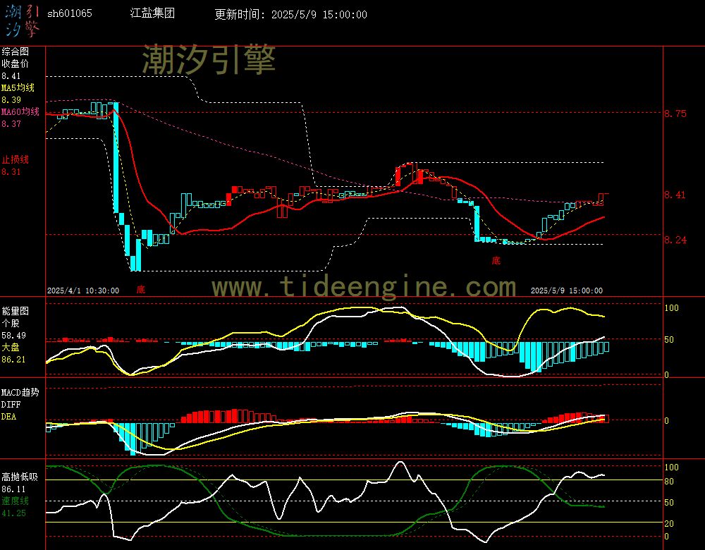 sh601065_60M.jpg