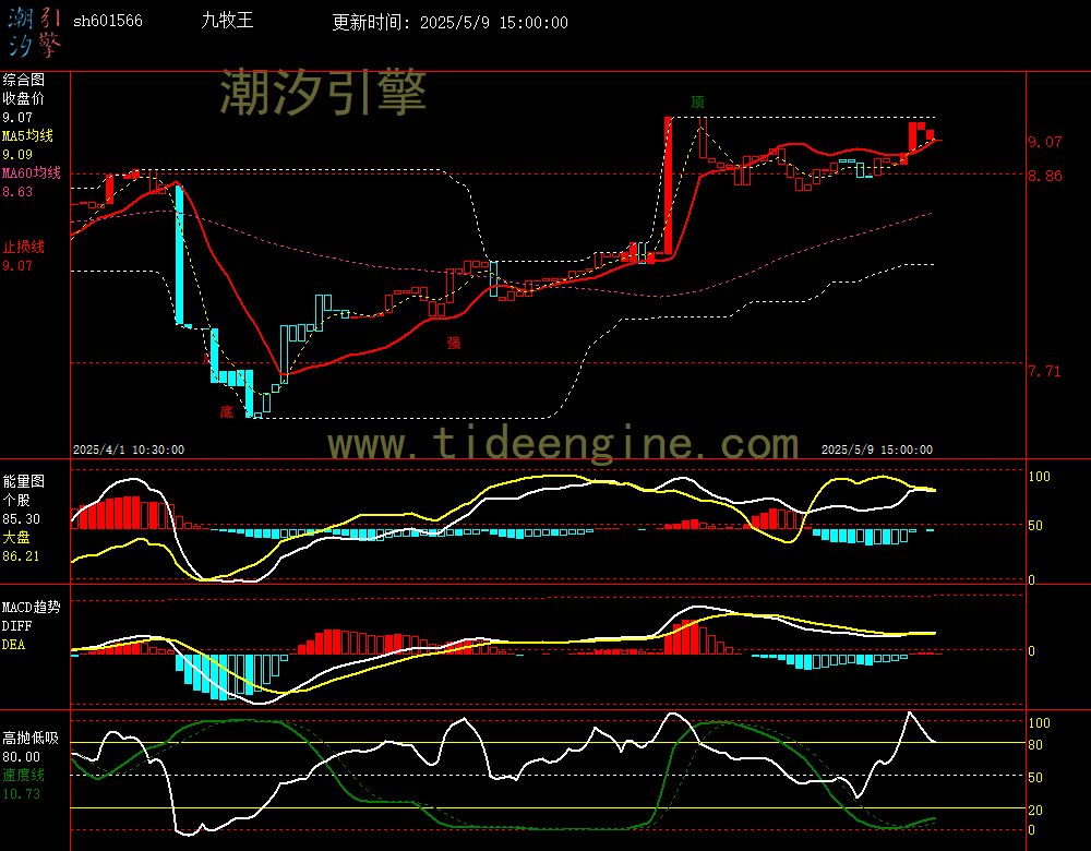 sh601566_60M.jpg