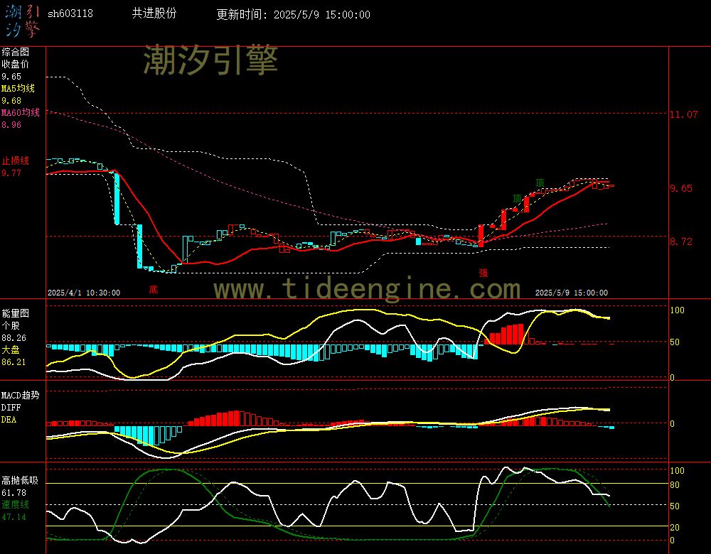 sh603118_60M.jpg