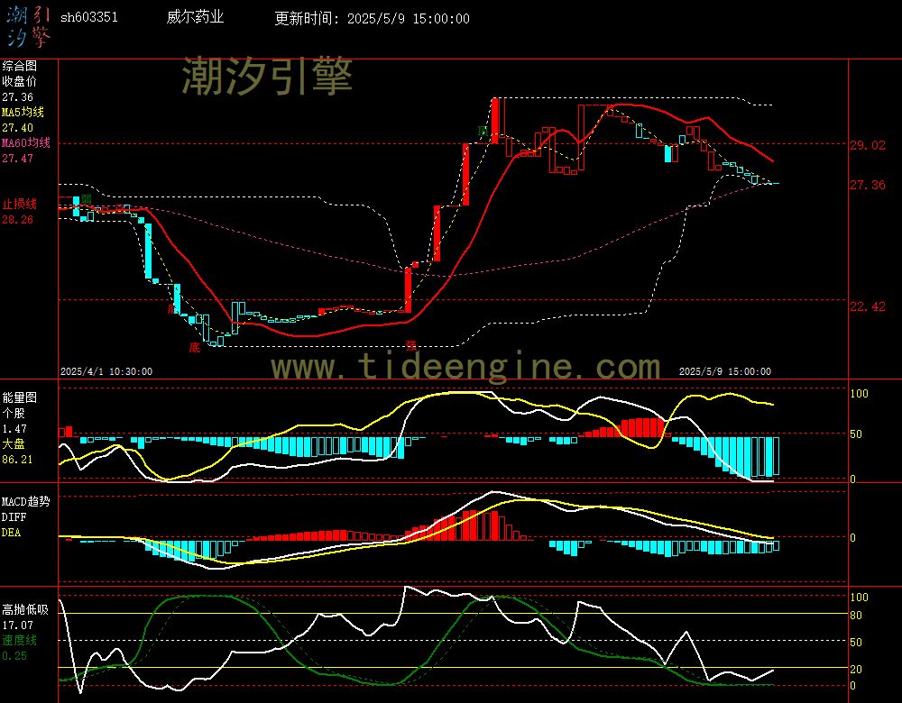 sh603351_60M.jpg