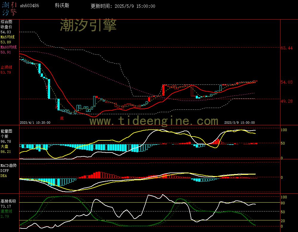 sh603486_60M.jpg
