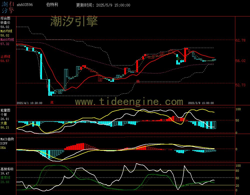 sh603596_60M.jpg