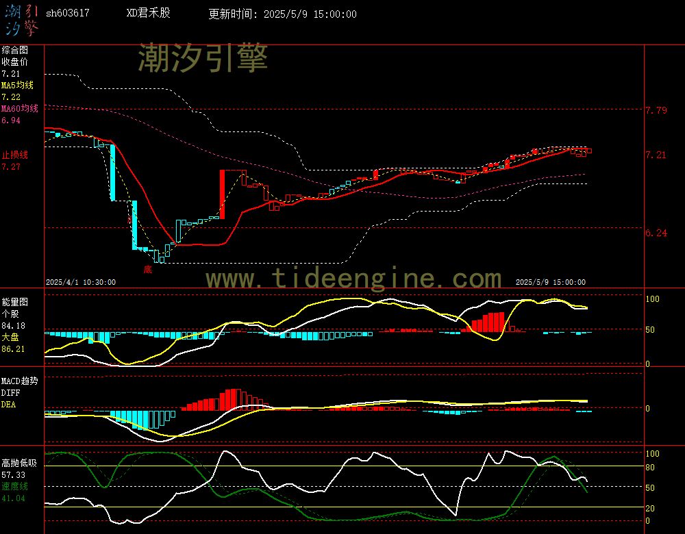 sh603617_60M.jpg