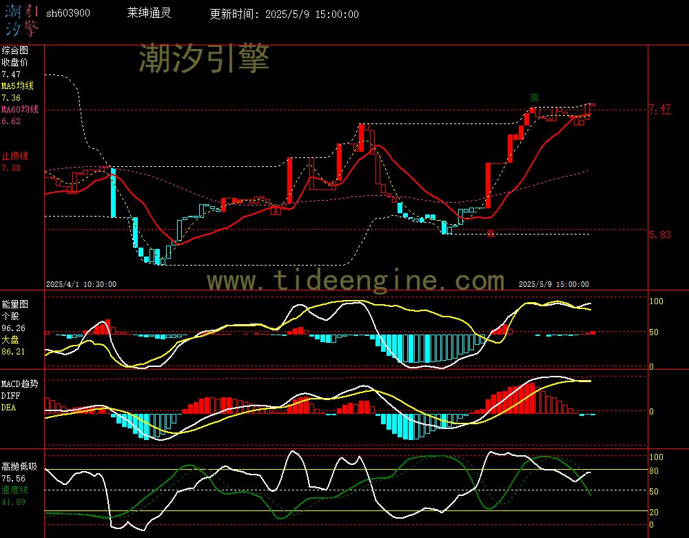 sh603900_60M.jpg