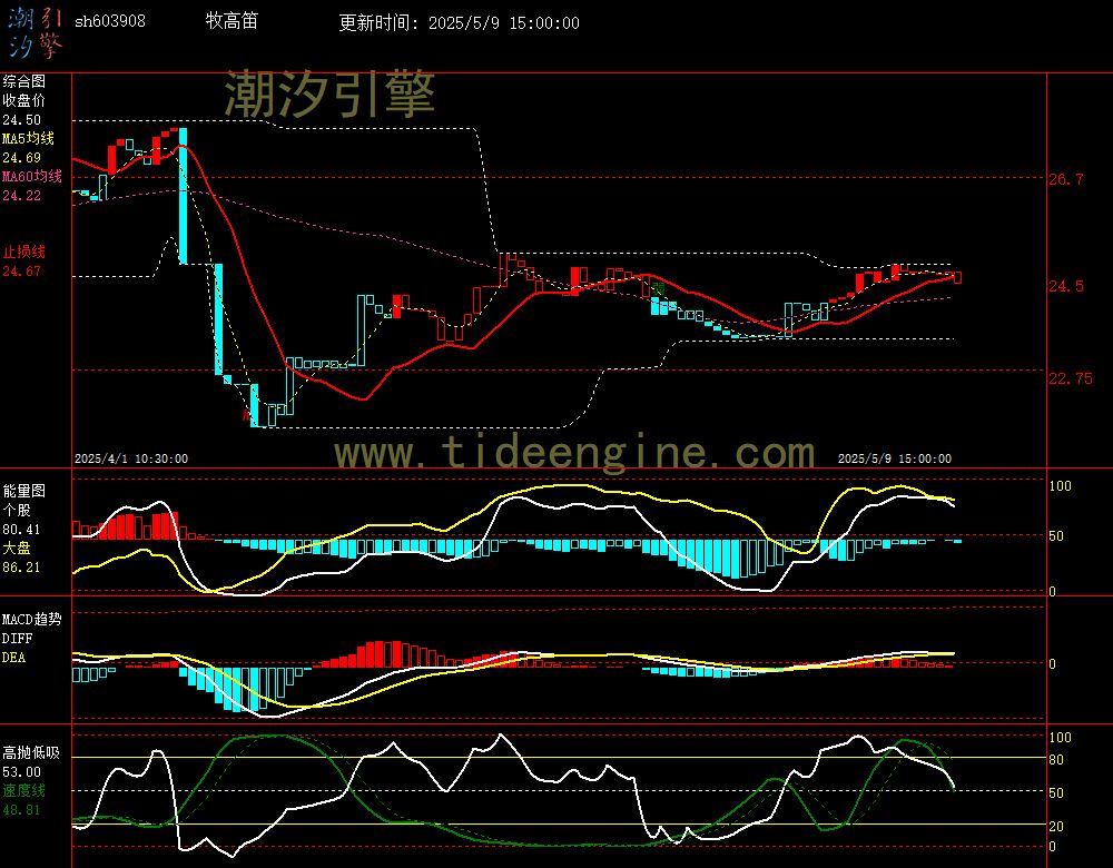 sh603908_60M.jpg