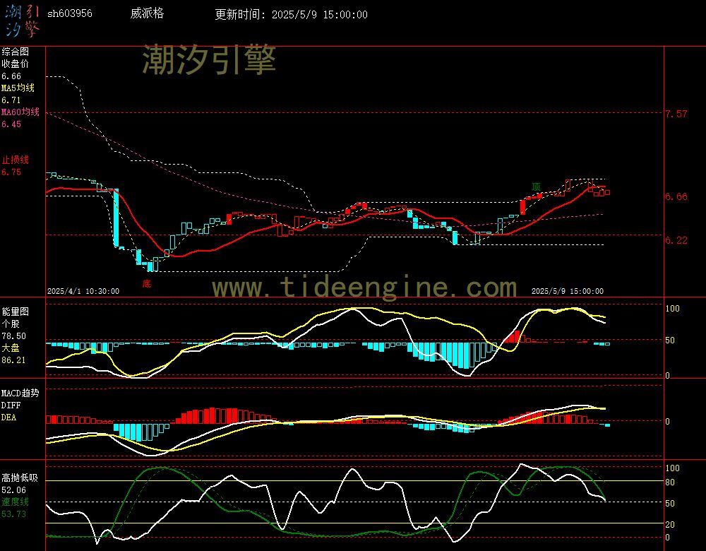 sh603956_60M.jpg