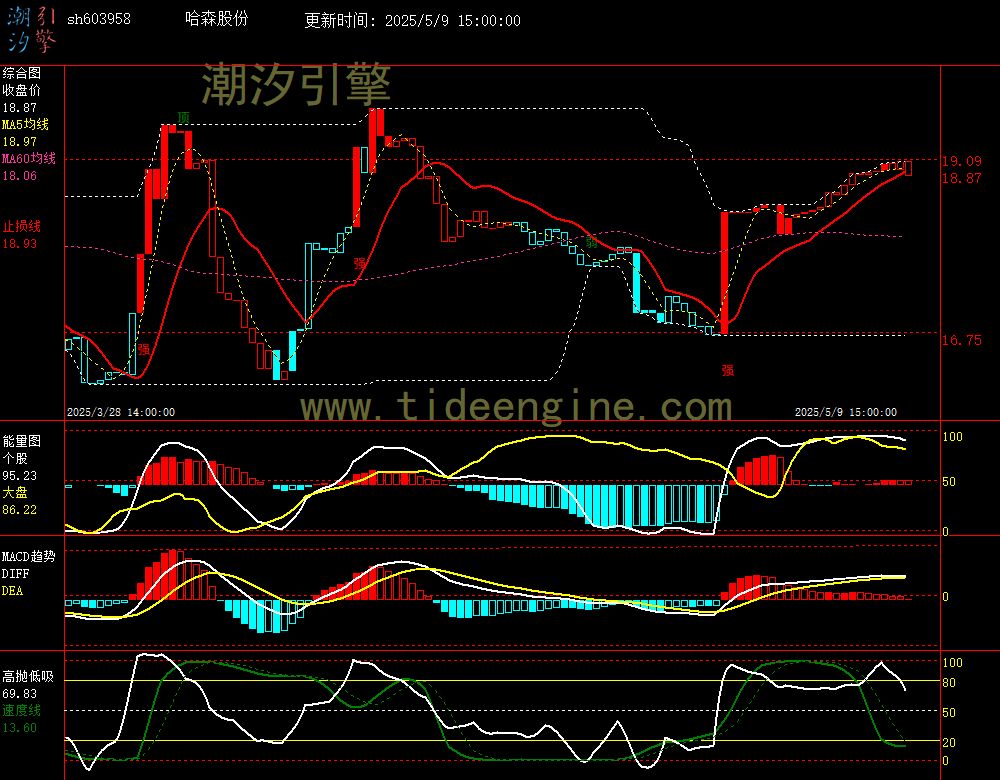 sh603958_60M.jpg