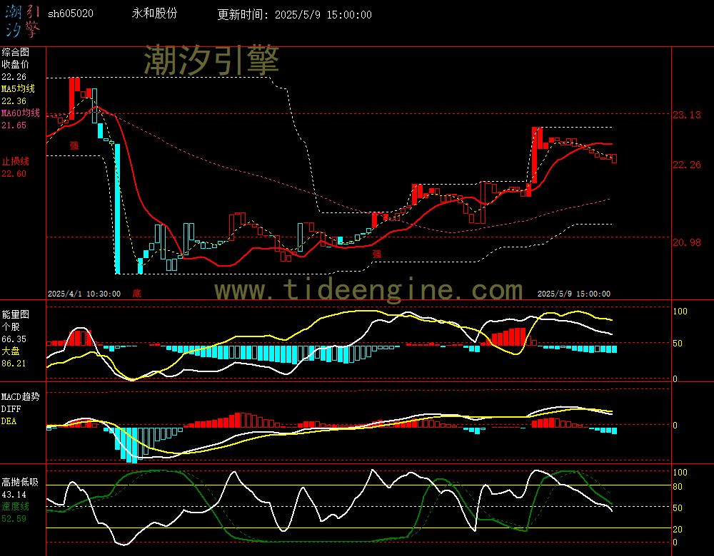 sh605020_60M.jpg