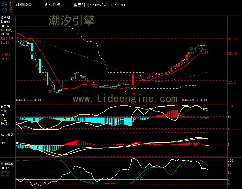 sh605080_60M.jpg