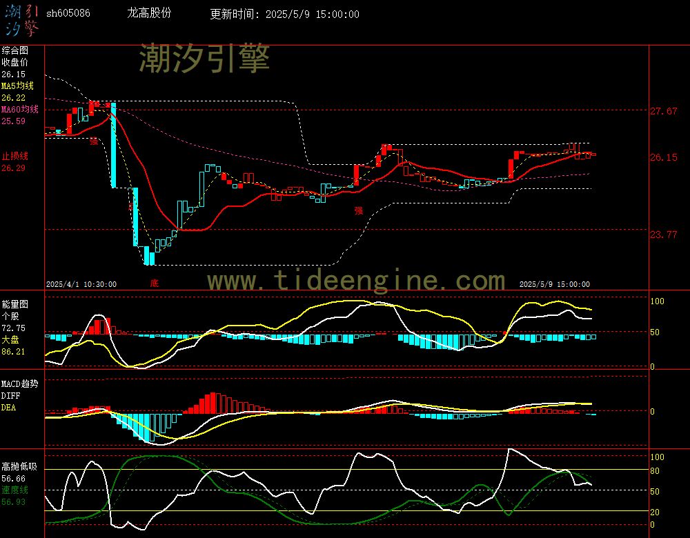 sh605086_60M.jpg