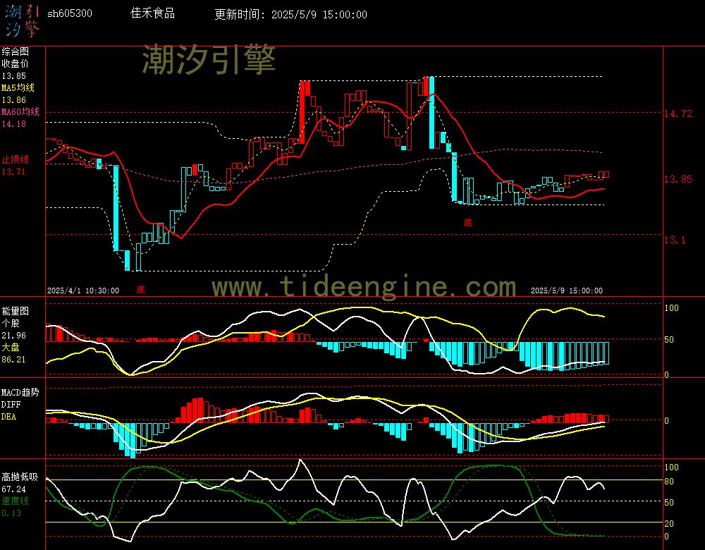 sh605300_60M.jpg