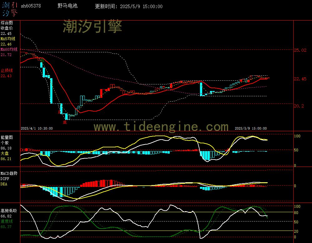 sh605378_60M.jpg