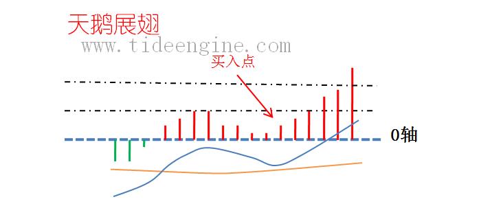 FMACD60_4.jpg FMACD60_4.jpg